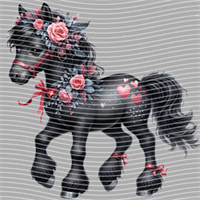 Valentine's Day-QRJ  5854